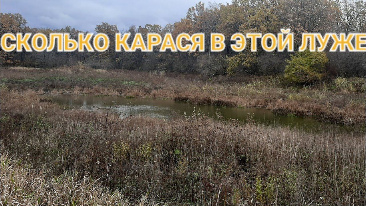 ОКТЯБРЬСКИЙ КАРАСЬ НА БОБРИНОМ ОЗЕРЕ!!!