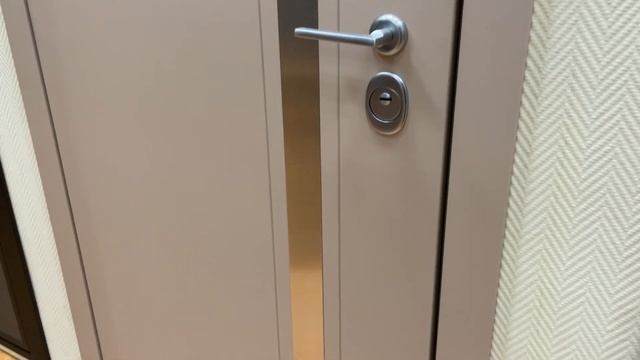 Яркая отделка для входных стальных дверей "Алюмикс" смотреть онлайн