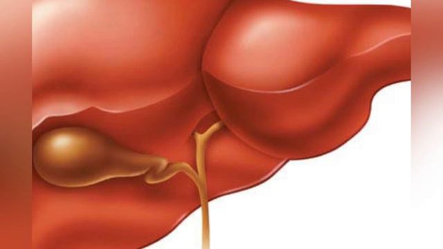 Мейіз арқылы бауырды 2 күнде тазалаңыз. Менің әжем осылай бауырын тазарта алды. смотреть онлайн
