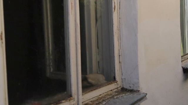 Что мы сделали этим летом | Наш участок, газон, комната для Леры. смотреть онлайн