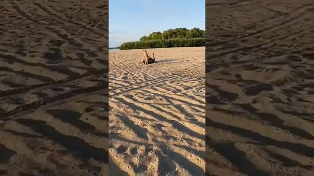 Артёмовские луга,Нижегородская область смотреть онлайн