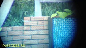 ВСЁ что НУЖНО ЗНАТЬ ГЕОДЕЗИСТУ! Практическое пособие по ГЕОДЕЗИИ В СТРОИТЕЛЬСТВЕ. Часть #1