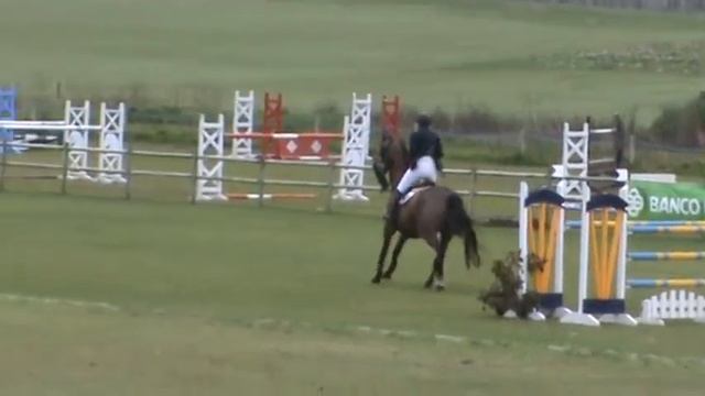 Comporta 1m30 Diamond Dilemma смотреть онлайн