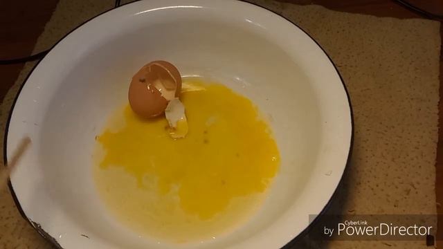 завершение эксперемента №1 выращивание цыплят из магазинных яиц. смотреть онлайн