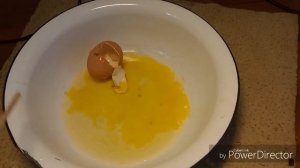 завершение эксперемента №1 выращивание цыплят из магазинных яиц.