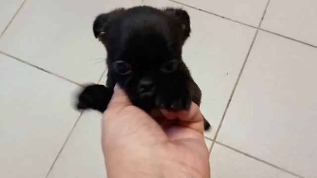 Зимний переплет иллюзий