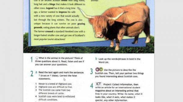 Spotlight-8 (85 страница)