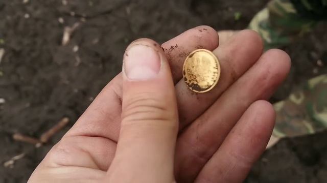 Нашли золотую монету смотреть онлайн