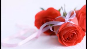 RED RED ROSE Robert Burns