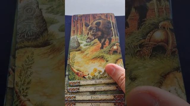 進入你靈魂深處的動物本能 ? THE DRUID ANIMAL ORACLE ✨ 德魯伊動物神諭卡 ✨ *有字幕喔~* смотреть онлайн