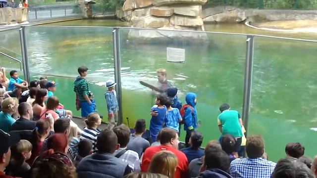 Обучающий тренинг. Как помыть аквариум . смотреть онлайн