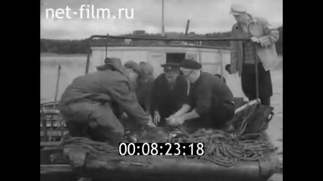 1963г. озеро Селигер. экспедиция Осташковского отделения Ленинградского института смотреть онлайн