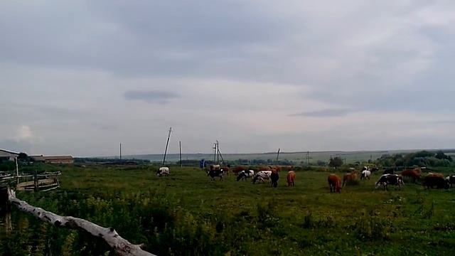 Сеченовская земля - горизонт на все 4 стороны смотреть онлайн