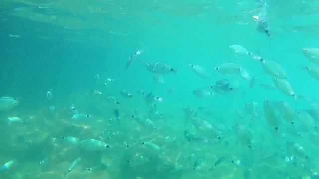 Water Planet Deluxe Hotel & Aquapark 5* отдых в Турции смотреть онлайн