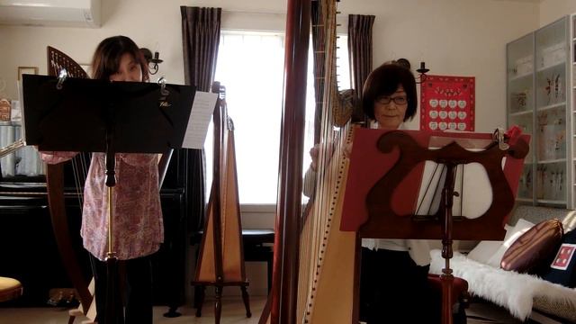 Greensleeves Variations by Flute/Harp Duo смотреть онлайн