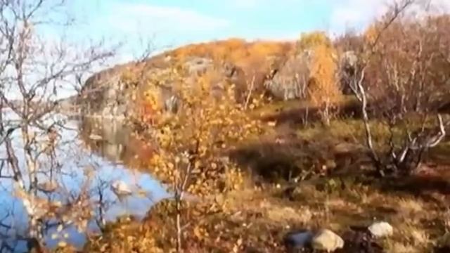 "всего лишь гость" стихи Юлии Вихаревой муз.и исполнение Сапегина Олега смотреть онлайн