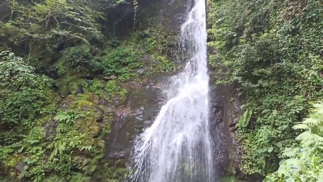 МТИРАЛА: Водопад Цабилнари, Горное озеро | Грузия АДЖАРИЯ: Национальный парк #WithMe