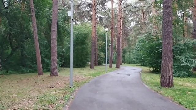 КУДА СХОДИТЬ В ТЮМЕНИ? / НАБЕРЕЖНАЯ / ГИЛЕВСКАЯ РОЩА / ПАРКИ смотреть онлайн