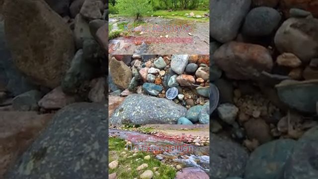 Какие чудеса в природе 54 смотреть онлайн