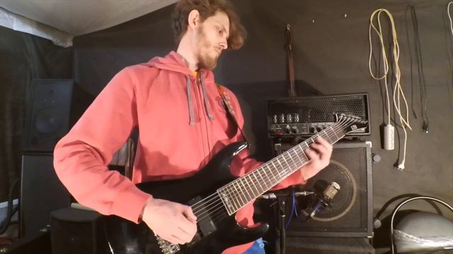 ESP LTD SC-338 8 string (Stephen Carpenter model) смотреть онлайн