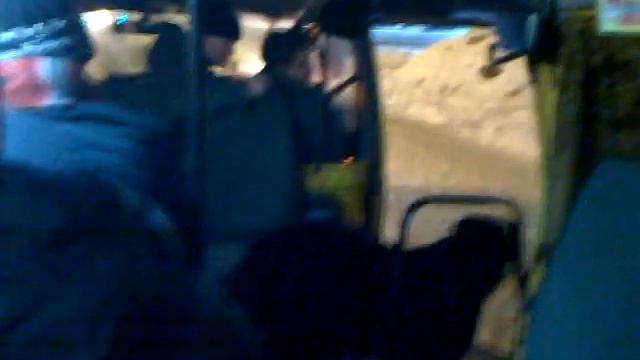 Пёс захватил маршрутку. Брянск смотреть онлайн