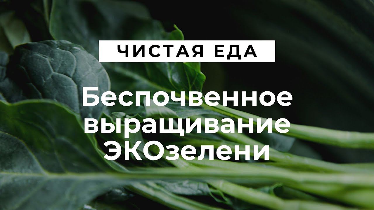 Беспочвенное выращивание ЭКОзелени // Чистая еда смотреть онлайн
