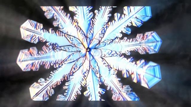 Футаж Снежинки под микроскопом Footage Snowflakes under a microscope 000795 смотреть онлайн
