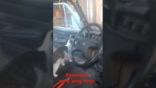 Удивительная-история-любви-Как-семья-спа_47