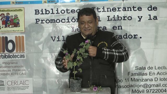 Malva (Malva sylvestris) смотреть онлайн