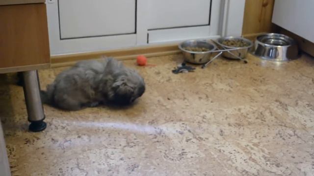 Савелина Услада Симферуса, 2 месяца смотреть онлайн