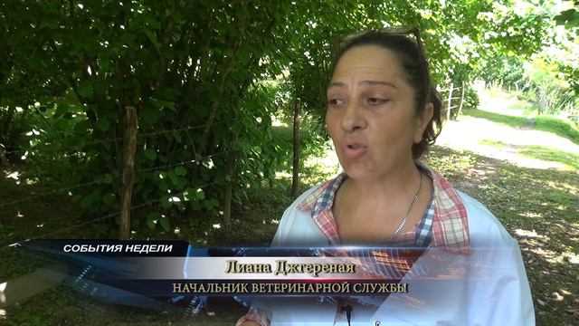 В ГАЛСКОМ РАЙОНЕ ПРОВОДИТСЯ ВАКЦИНАЦИЯ КРУПНОГО РОГАТОГО СКОТА смотреть онлайн