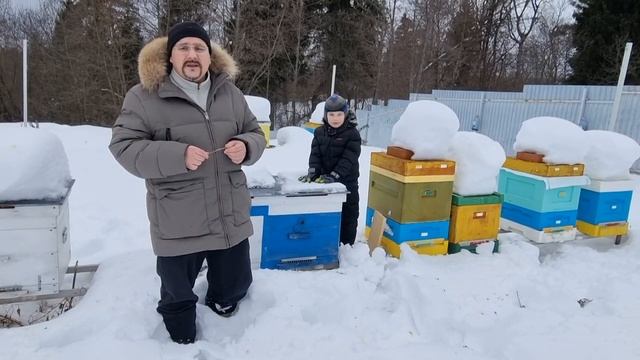 ? Опорожнение кишечника пчелы - подсказка начинающему пчеловоду ? смотреть онлайн