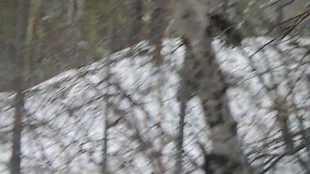 Кабарга на отстое смотреть онлайн
