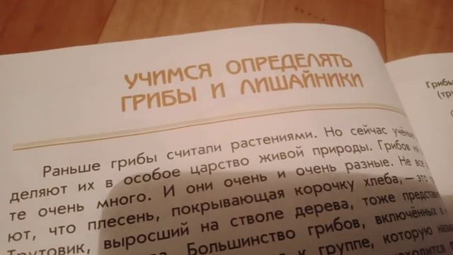 энциклопедия от земли до неба. смотреть онлайн