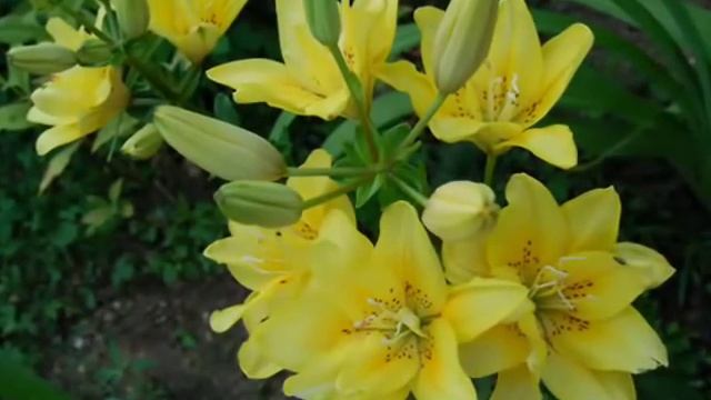 Для друзей. Всем хорошего настроения!