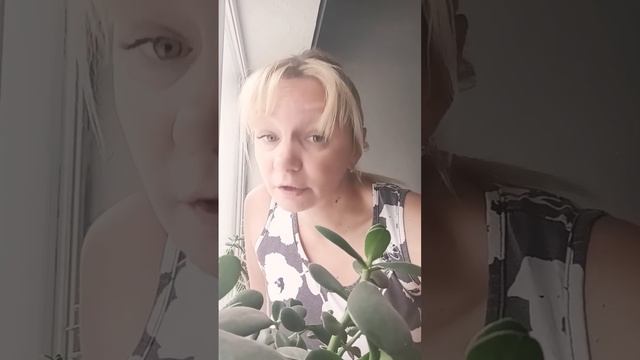 наивные ? #воронеж #лайк #москва #рекомендации #питер #мужики #рек смотреть онлайн