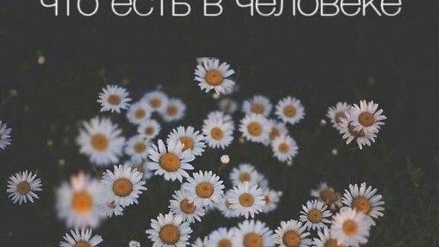 Медитация любящей доброты смотреть онлайн