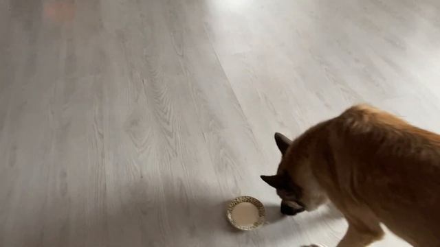 Как погода, настроение ?? смотреть онлайн