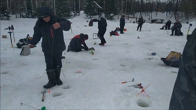 Рыбалка на спорт зоне. Клёвое место в лосином острове. смотреть онлайн