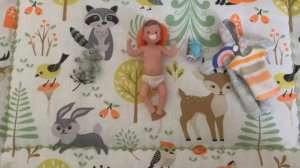 ВЛОГ С МИНИ РЕБОРНОМ/ПРОГУЛКА С МИНИ РЕБОРНОМ