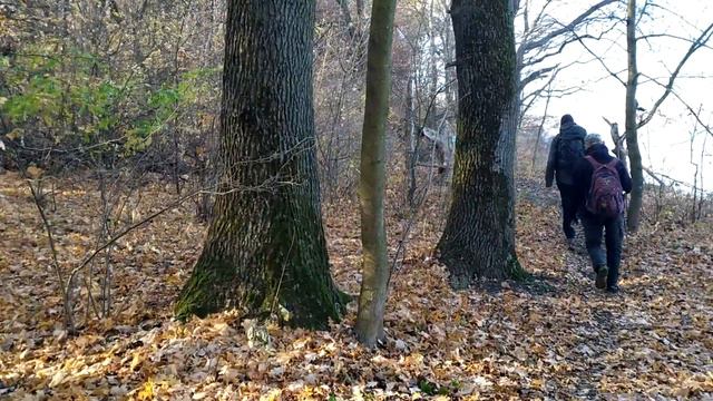 ПВД. Печнежское водохранилище | Старый Салтов. смотреть онлайн