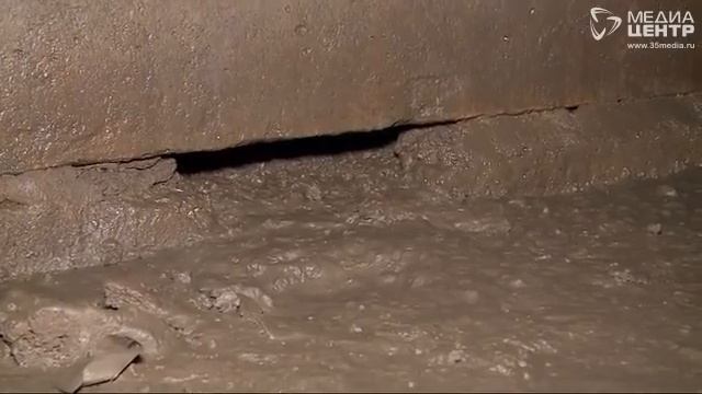 Жителям дома в Череповце приходится мириться с влажностью и насекомыми смотреть онлайн