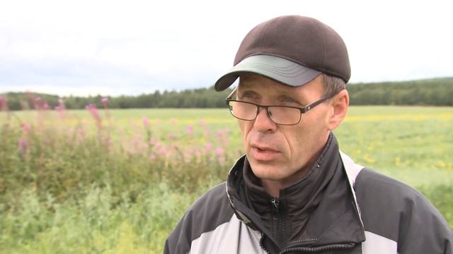 Агрофирма «Индустрия» продолжает уборочную кампанию смотреть онлайн