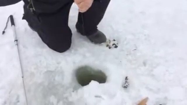 Опытный рыбак . Зацепил щуку смотреть онлайн