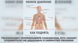 Пониженное давление — что делать? Как и чем повысить низкое давление: первая помощь, лечение, спис.