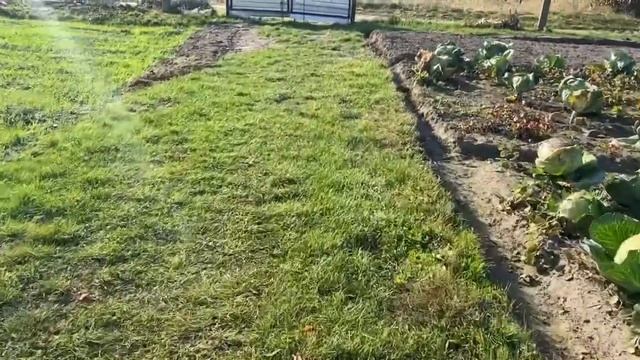 Дела делаются?То не барское дело?Пирожки с повидлом?Рёбрышки с картошкой? смотреть онлайн