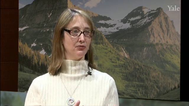 Prof. Susan Stokes: Globalization and the Left in Latin America смотреть онлайн