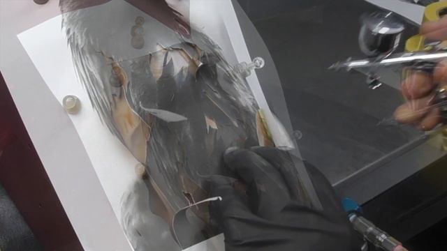 Airbrushing a Wedge Tailed Eagle | Part 1 смотреть онлайн