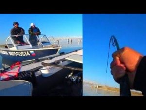 РЫБОХРАНА ПРИШЛА ПРОВЕРЯТЬ СОМОВ!РЫБАЛКА НА КВОК И ДОНКИ КРОКОДИЛ