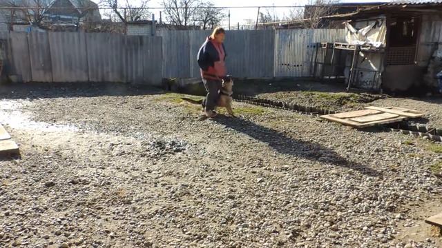 альт смотреть онлайн